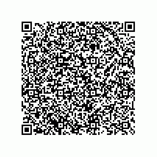 vCard 73825733276