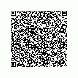vCard 73825733280