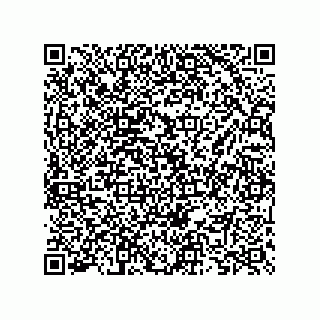 vCard 73825733281