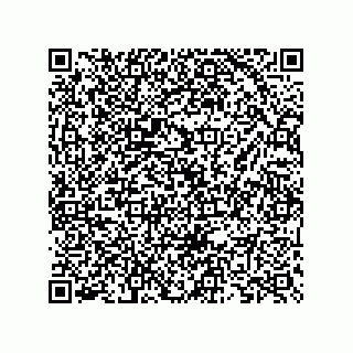 vCard 73825733282