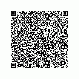 vCard 73825733283