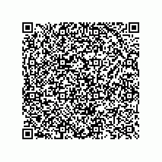vCard 73825733284