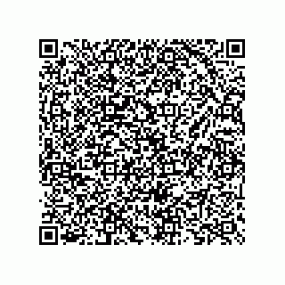 vCard 73825733285
