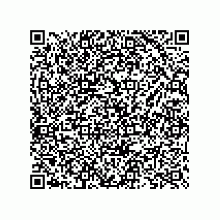 vCard 73825733287