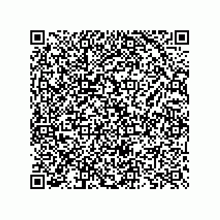 vCard 73825733288