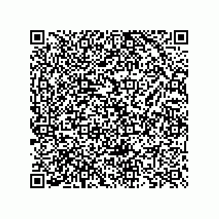 vCard 73825733290