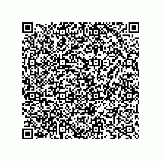 vCard 73825733291