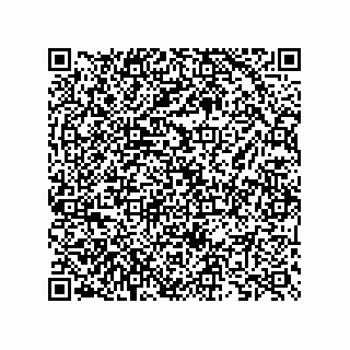 vCard 73825733292