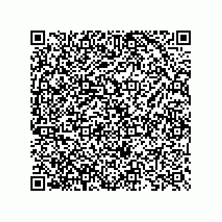 vCard 73825733294