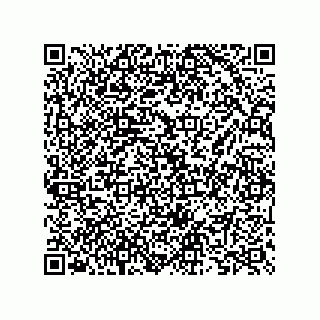 vCard 73825733295