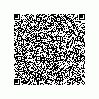 vCard 73825733296