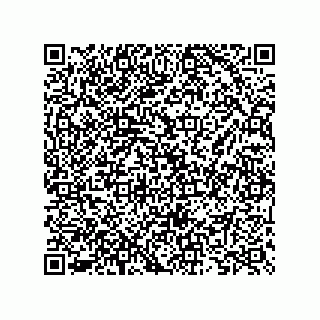 vCard 73825733297