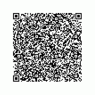 vCard 73825733299