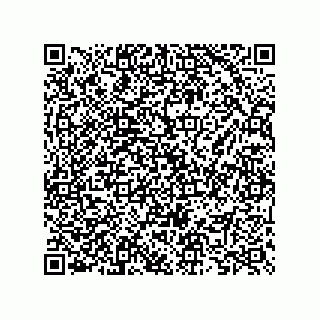 vCard 73825733301