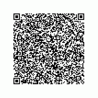 vCard 73825733303