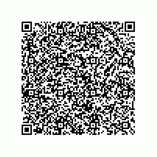 vCard 73825733304