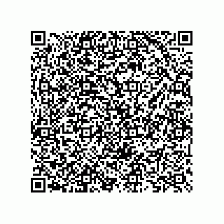 vCard 73825733305