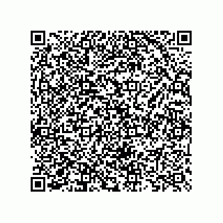 vCard 73825733308