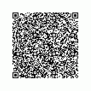 vCard 73825733309