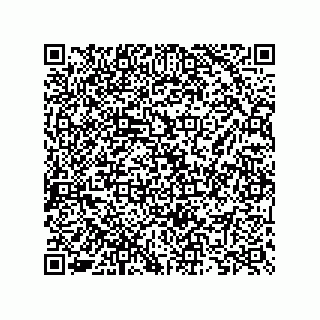 vCard 73825733310