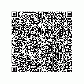 vCard 73825733311