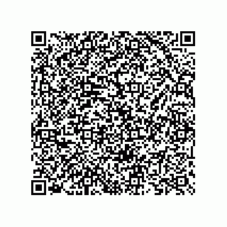 vCard 73825733312