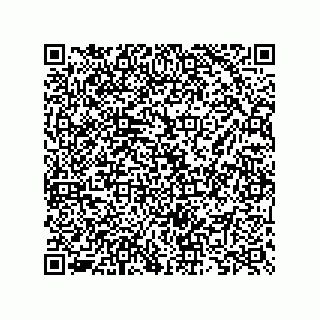 vCard 73825733313