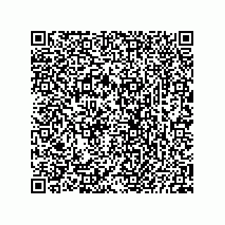 vCard 73825733315