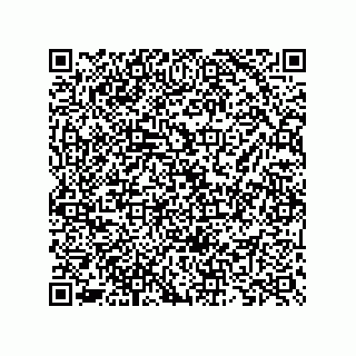 vCard 73825733317