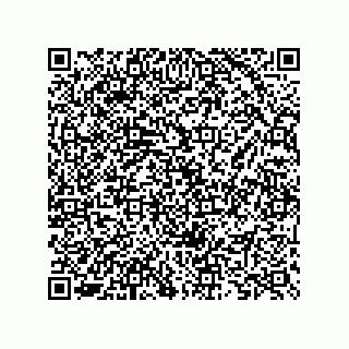 vCard 73825733319
