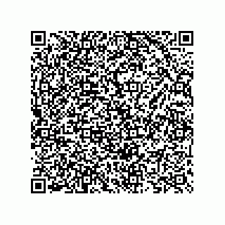 vCard 73825733320