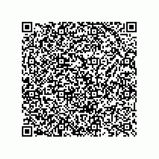 vCard 73825733322