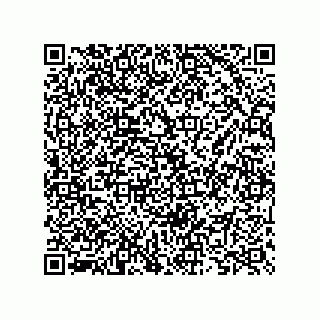 vCard 73825733323