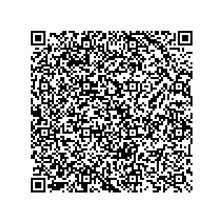 vCard 73825733328