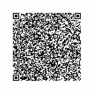 vCard 73825733329
