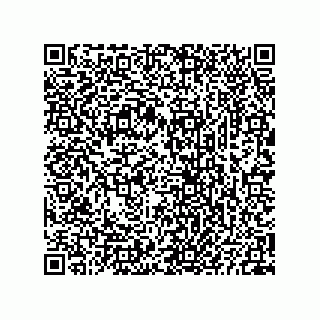 vCard 73825733330