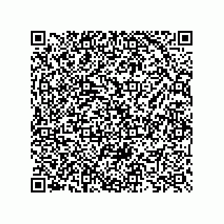 vCard 73825733331