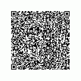 vCard 73825733332