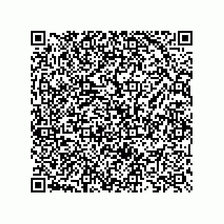 vCard 73825733333