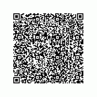 vCard 73825733334