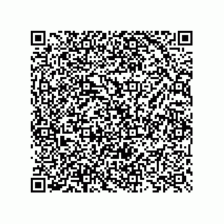 vCard 73825733336