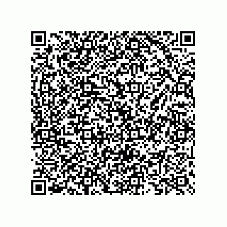 vCard 73825733337
