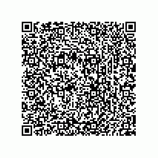 vCard 73825733338