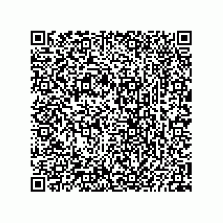 vCard 73825733339