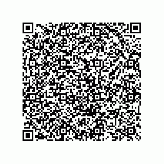 vCard 73825733340