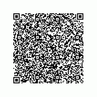 vCard 73825733341