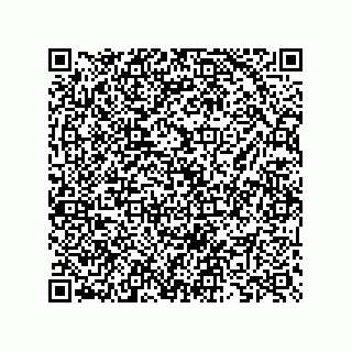vCard 73825733343