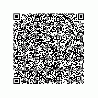 vCard 73825733345