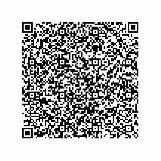 vCard 73825733347