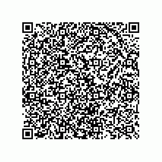 vCard 73825733348